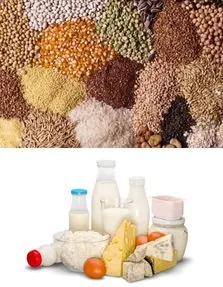 ecoearthgate-agro-grains